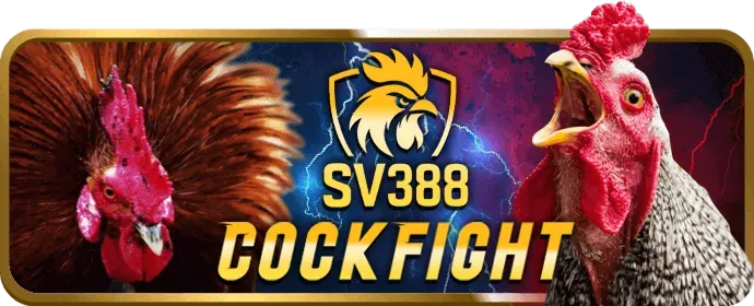 Hình ảnh đa dạng trò chơi cá cược tại Bet89